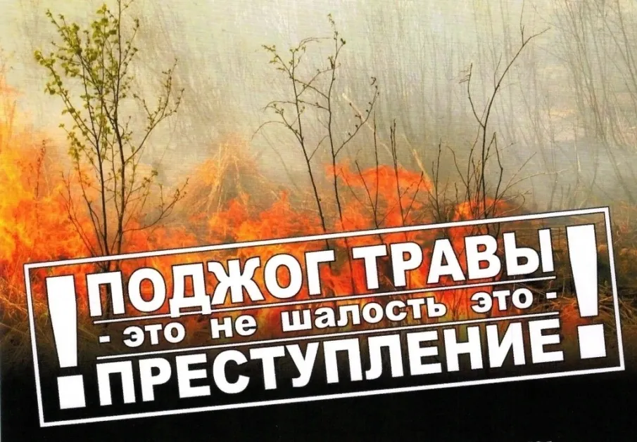 Отделение надзорной деятельности и профилактической работы по Вачскому муниципальному округу информирует, что за истекший период 2026 года на территории округа произошло 7 пожаров, за аналогичный период прошлого года 10, гибели и травмирования не допущено.